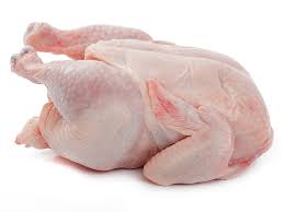 broiler chicken